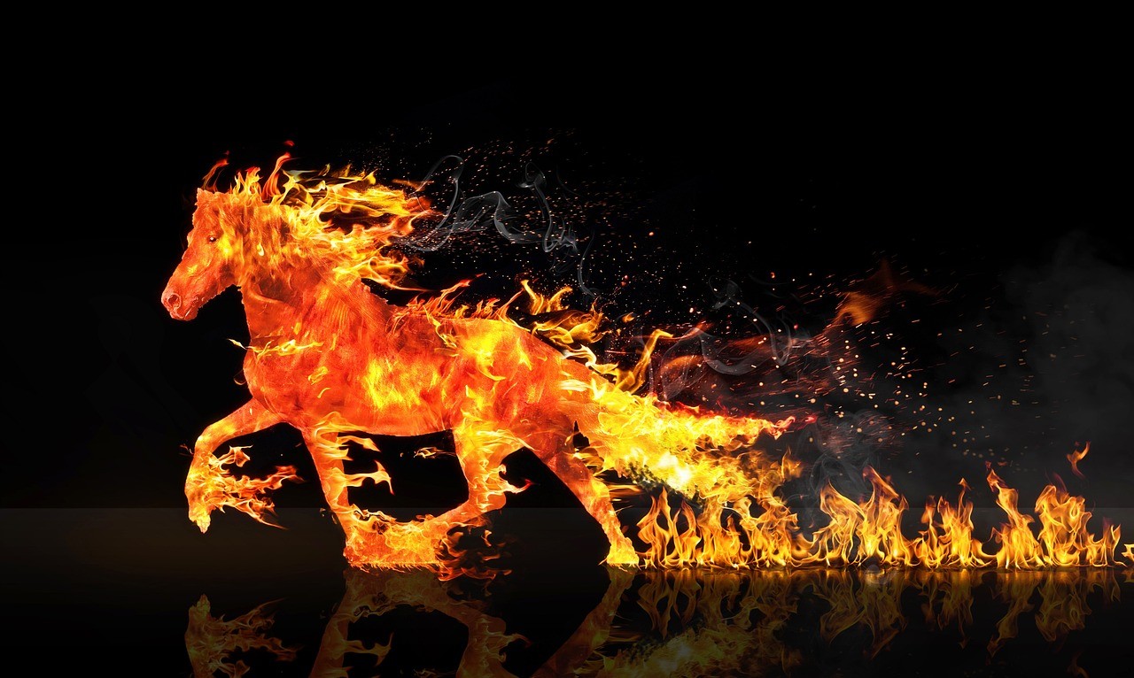 What Does the Year of the Fire Horse Have In Store for our Health?